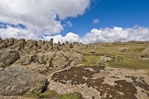Bale Mountains National Park